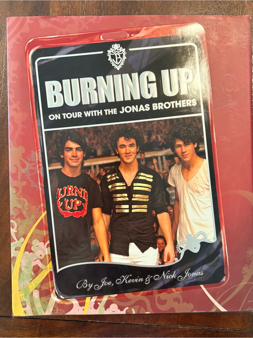 Burning Up: On Tour with the Jonas Brothers - Hardcover Book